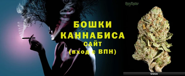 PSILOCYBIN Кукмор