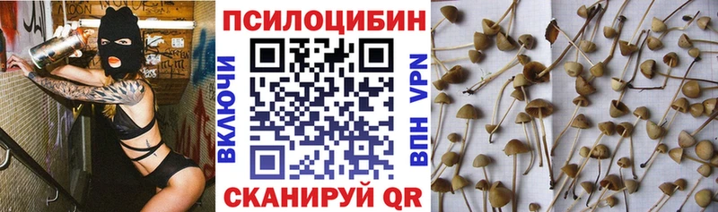 Псилоцибиновые грибы мицелий  купить   Торжок 