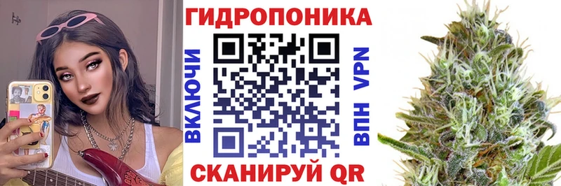 Бошки марихуана конопля Торжок